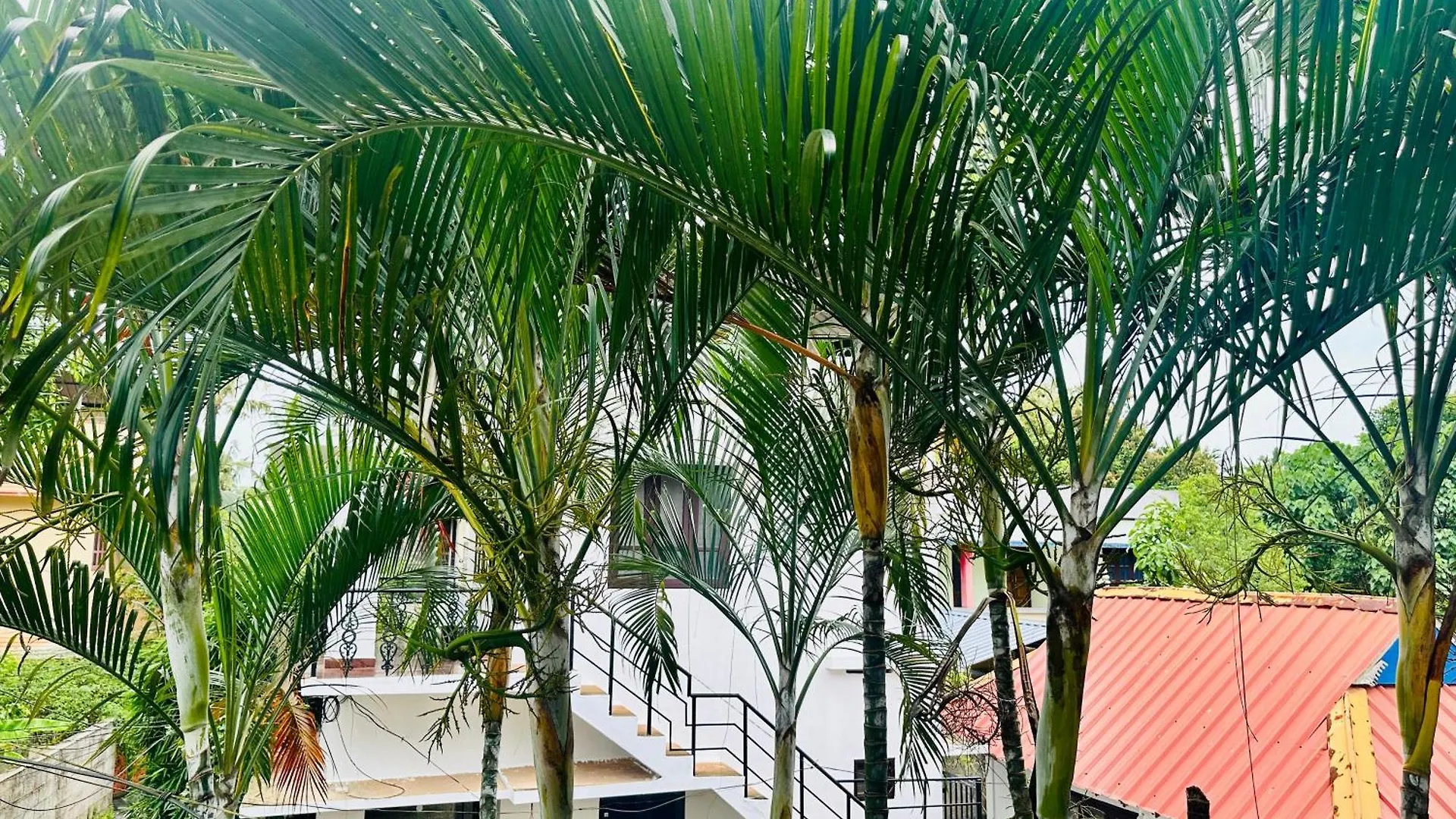 Varkala Escape Resort Hotel